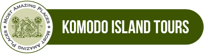 Komodo Island Tours 